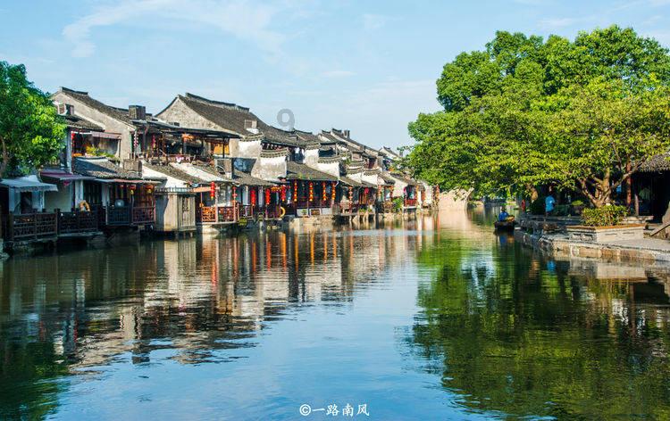 金刚鹦鹉逃生